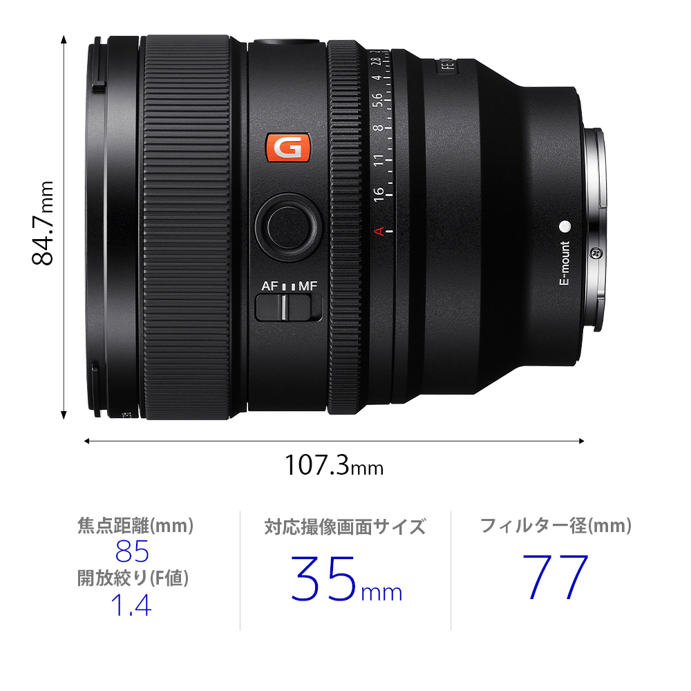 待望の発表サイズ